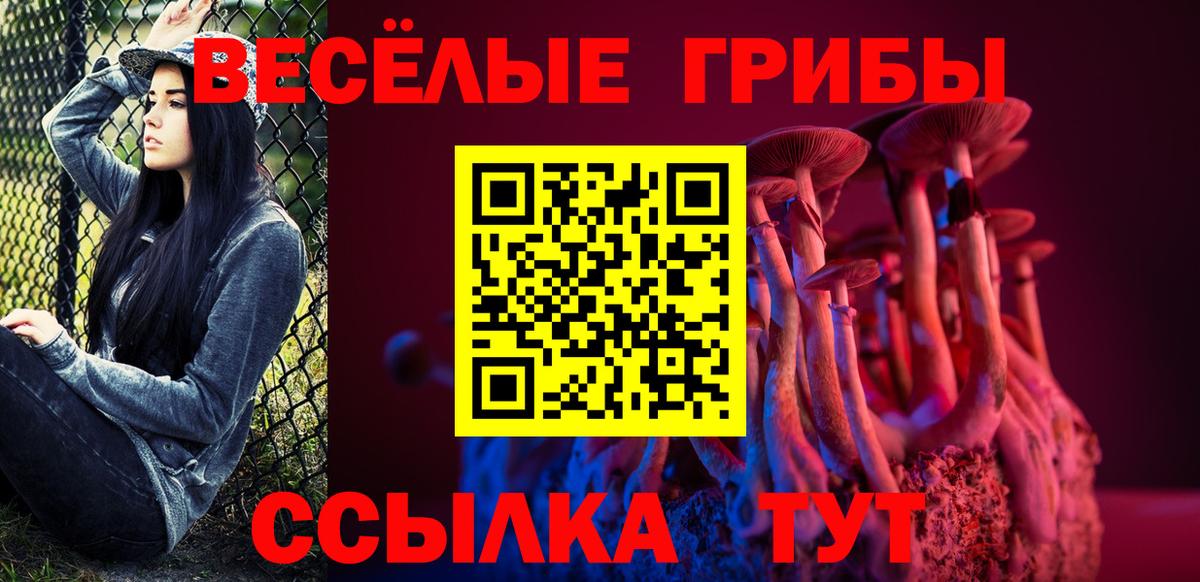 Псилоцибиновые грибы Cubensis  Псилоцибиновые грибы прущие грибы  Вход с VPN  Тосно 