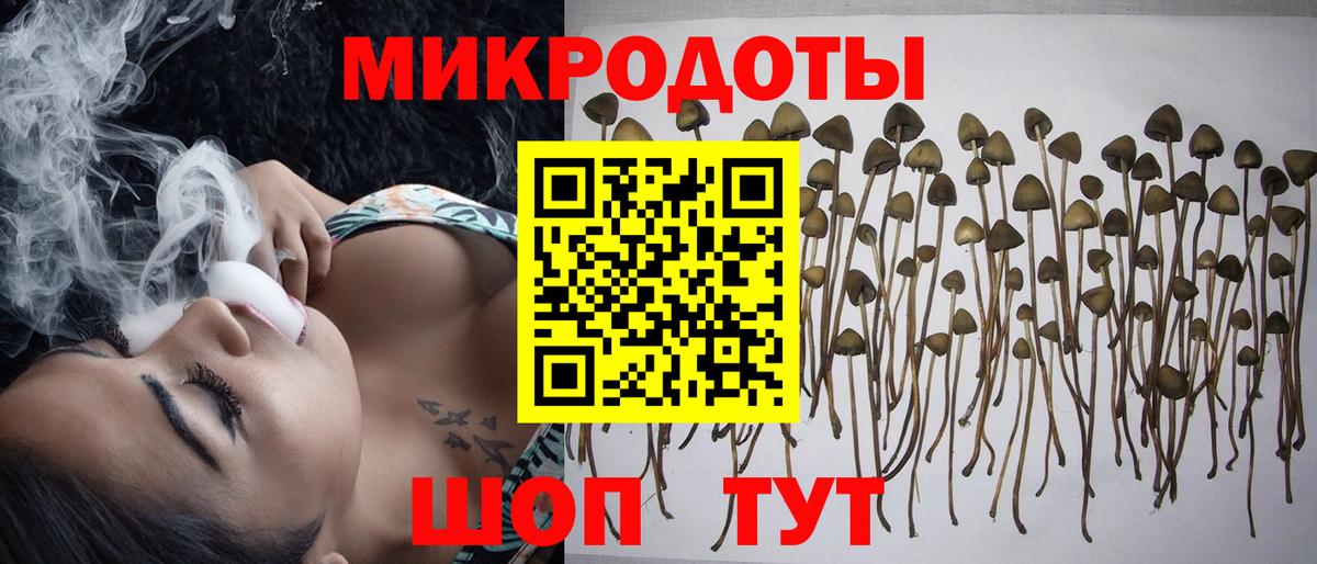 Псилоцибиновые грибы MAGIC MUSHROOMS Тосно