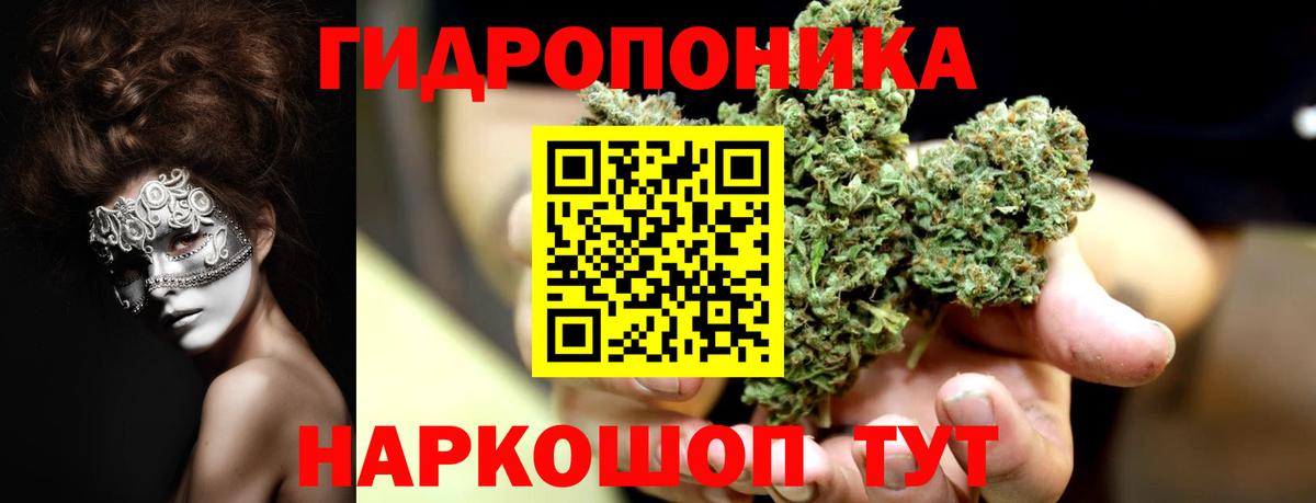 Бошки марихуана MAZAR Тосно